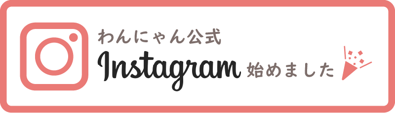 わんにゃん公式 Instagram始めました！